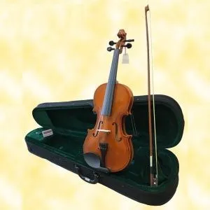 Brahner BV-300 4/4 Скрипка в комплекте: кейс, смычок, канифоль.