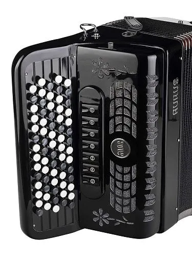 Aurus JH5096-Black Аккордеон кнопочный.