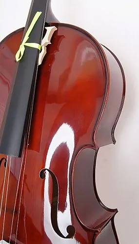 Caraya MC760R-4/4 Виолончель, с чехлом и смычком.