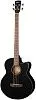 Cort AB850F-BK-Bag Бас-гитара акустическая.-0