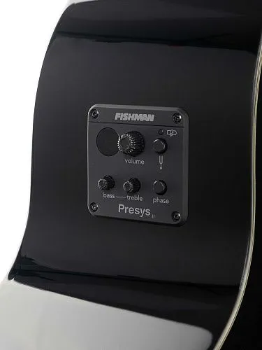 Cort AB850F-BK-Bag Бас-гитара акустическая.